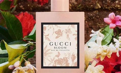 cual de los perfumes del garden de gucci huele mejor